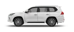 MPV